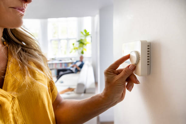 Best Furnace Cleaning in Tanglewilde, WA