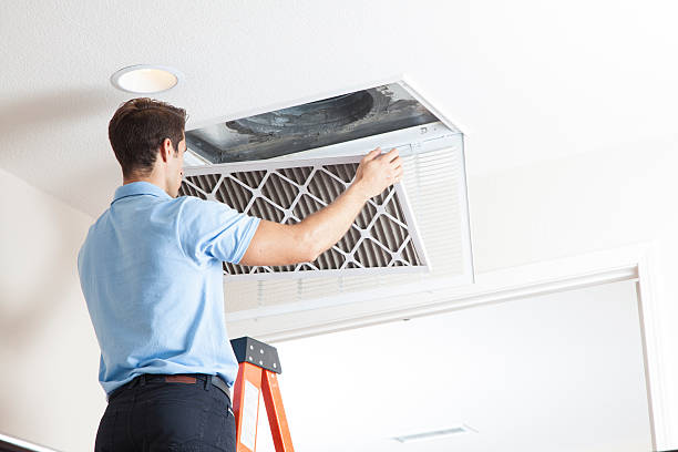 Best Emergency HVAC Services in Tanglewilde, WA